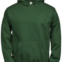 TJ5102B Tee Jays Junior Power Hoodie (Var 01)