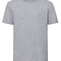 R108M Russell Pure Organic Men's T (Var 01)