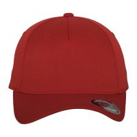 6560 Flexfit 5 Panel Cap (Var 01)