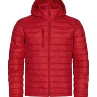 CQ020976 Clique Hudson (Var 01)